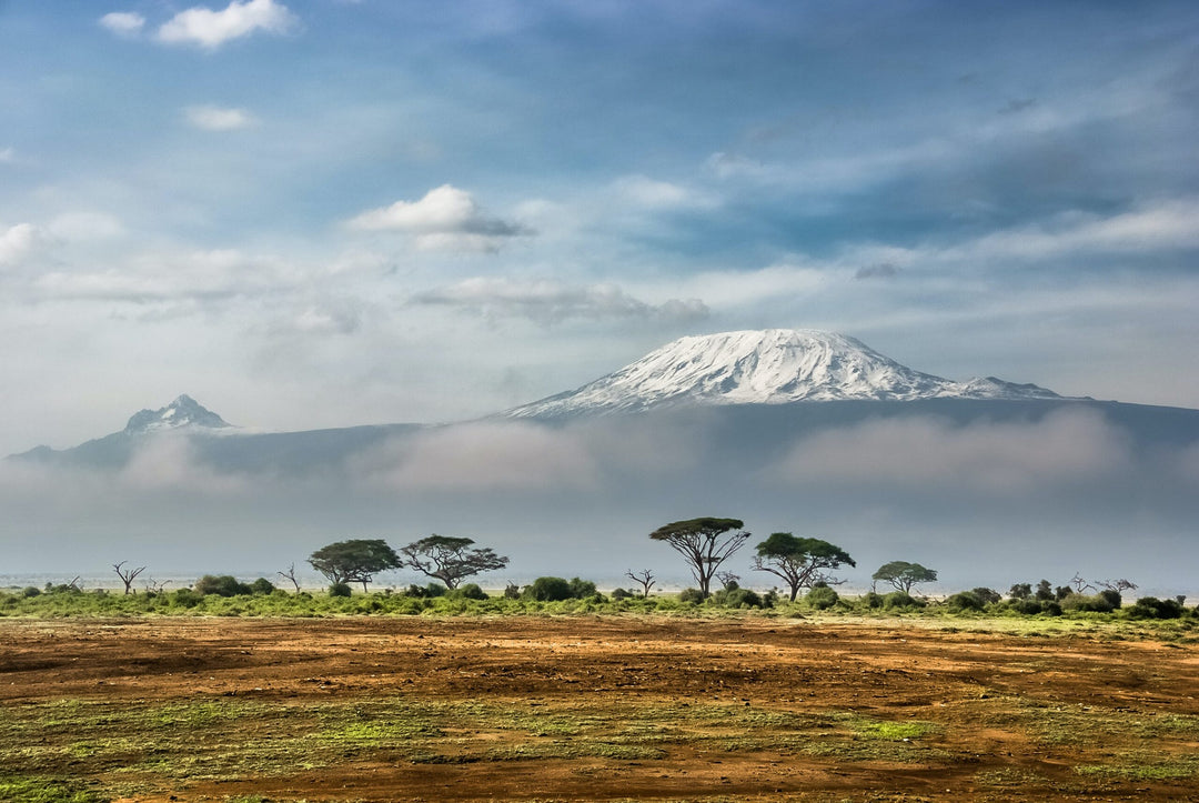 ESTA ES LA CUARTA MONTAÑA MÁS GRANDE DEL MUNDO, Kilimanjaro, África